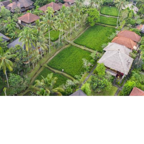 Ananda Ubud Resort