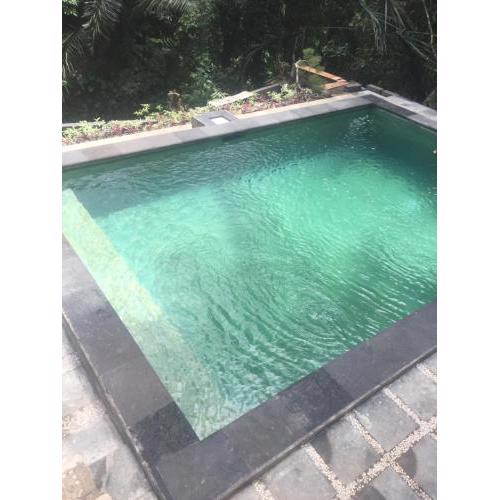 Anggrek Mas Bed & Breakfast