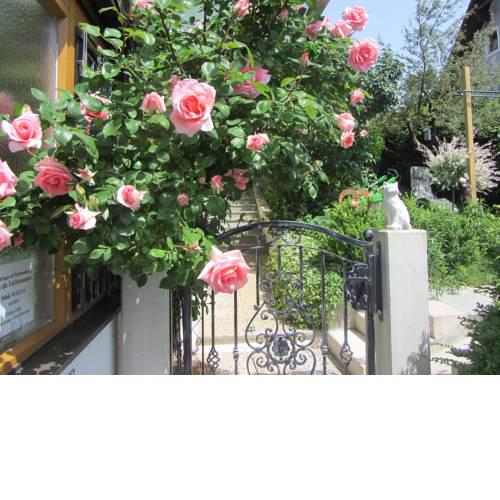 Anna's Home - Ferienwohnungen