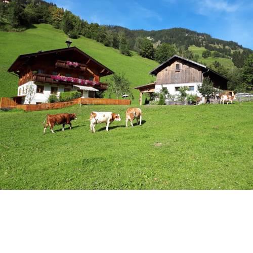 Antenbachhof