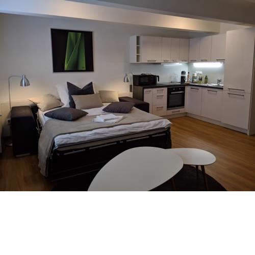 AP 1 - Hradec Apartments, Overnight Simply