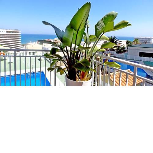 Apaprtment with Sea Views and big balcony