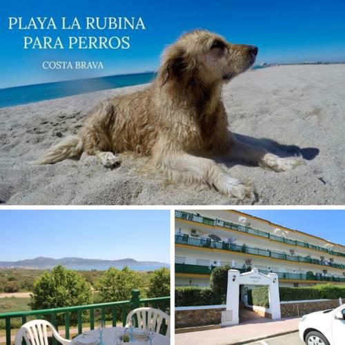 Apart-rent Platja Rubina Apartament Port Ducal 2