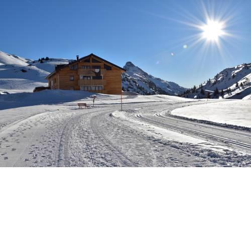 apart-wolf-arlberg