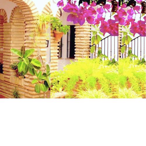 Apartaluz Patio Centro Ciudad