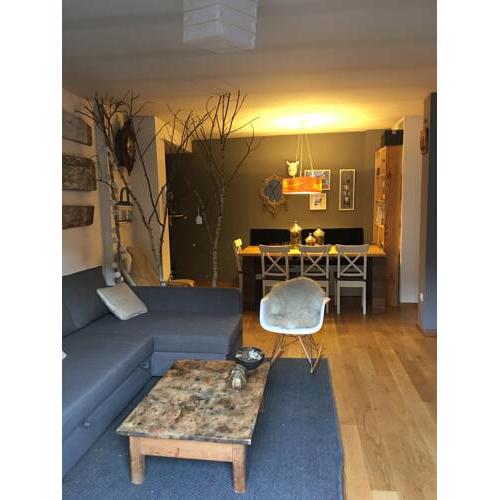 Apartament Besan