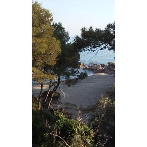 Apartament familiar front les Cales la Platja llarga i 20' de Port Aventura