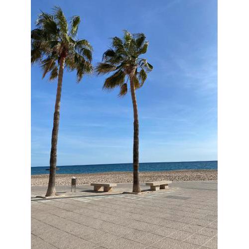 Apartamento 50 metros de la playa, ideal descanso