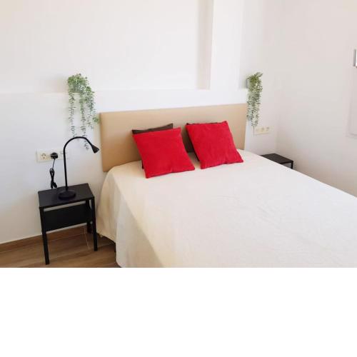 APARTAMENTO BIOPARC