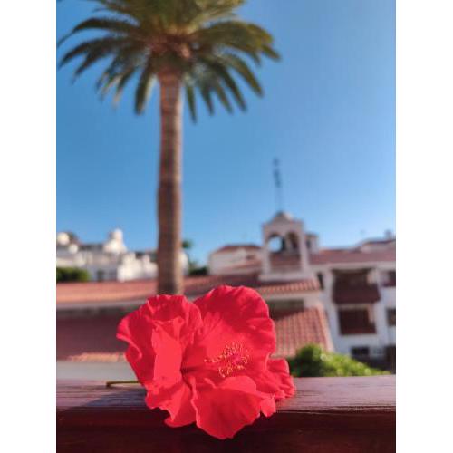 Apartamento Buganvilla - Los Gigantes