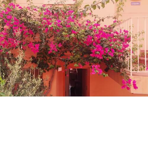 Apartamento buganvilla