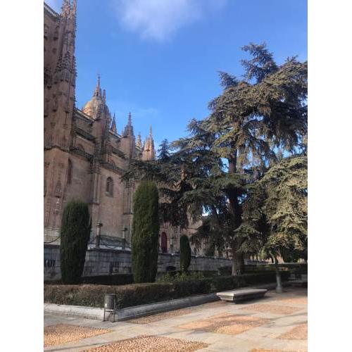 Apartamento Catedrales