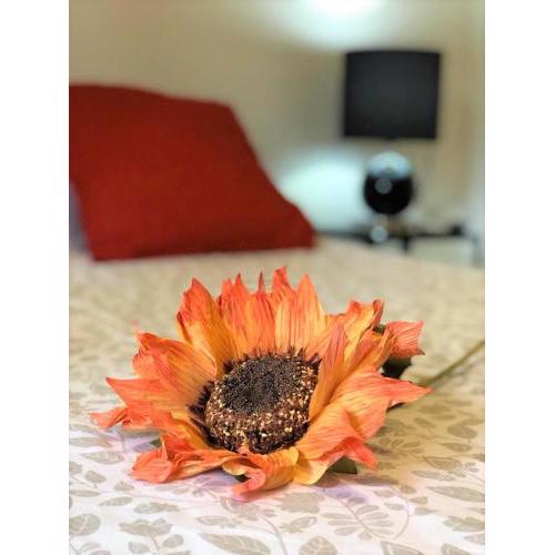 Apartamento cerca de La Xara