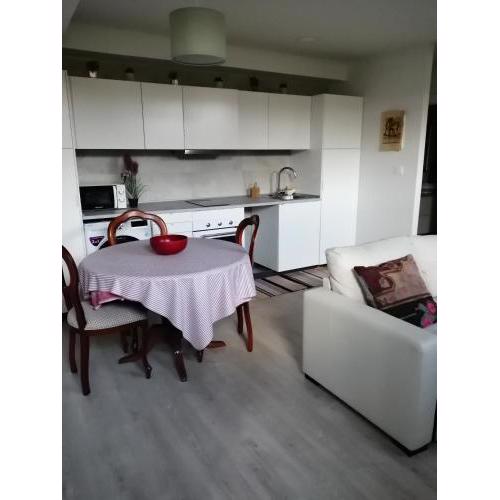 Apartamento con cocina americana, habitación, baño y entrada independiente LBI00469