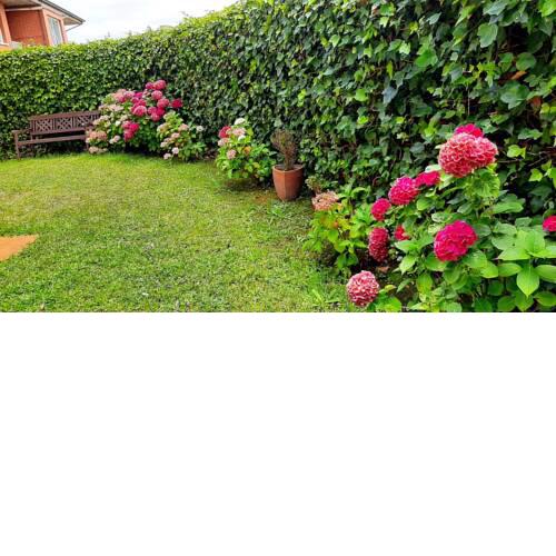 Apartamento con espectacular Jardín cerca de Playa