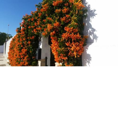 ¡APARTAMENTO CON JARDÍN JUNTO AL MAR!