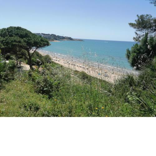 Apartamento con piscina, balcón y acceso a playa