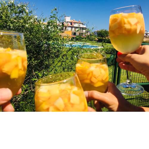 Apartamento Costa Esuri Algarve