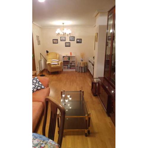 Apartamento de 1 habitación al lado del MUSAC
