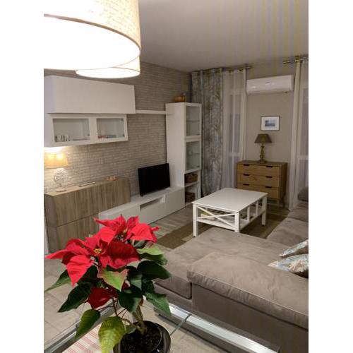 apartamento de lujo, wifi y parking gratis