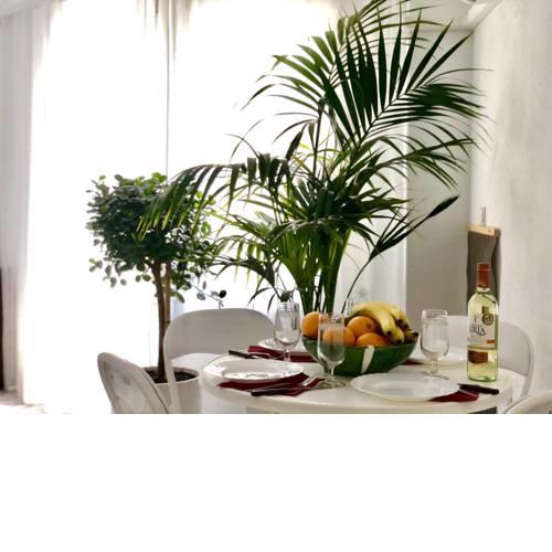 Apartamento del Cur