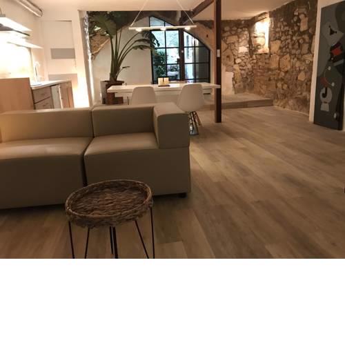 Apartamento duplex, arco gótico, centro histórico