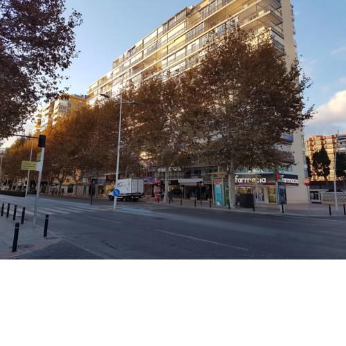APARTAMENTO EDIFICIO ILICE(5)