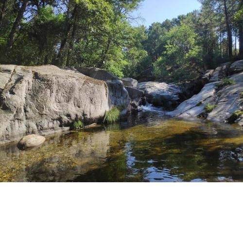 Apartamento El Corazón de Gredos