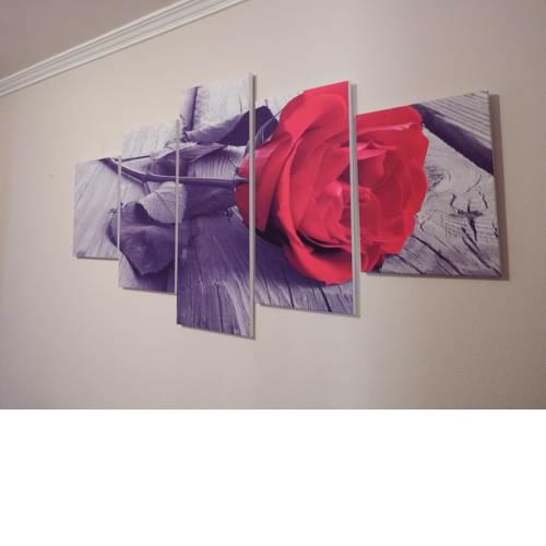Apartamento en García Barbón