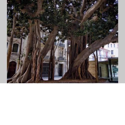 Apartamento en pleno centro de Caratgena