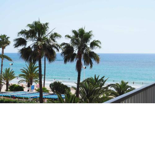 Apartamento en primera línea de playa1 dormitorio terraza con vistas pk