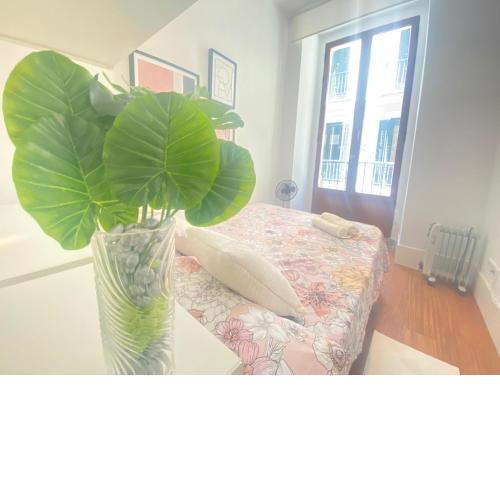 Apartamento entero chueca