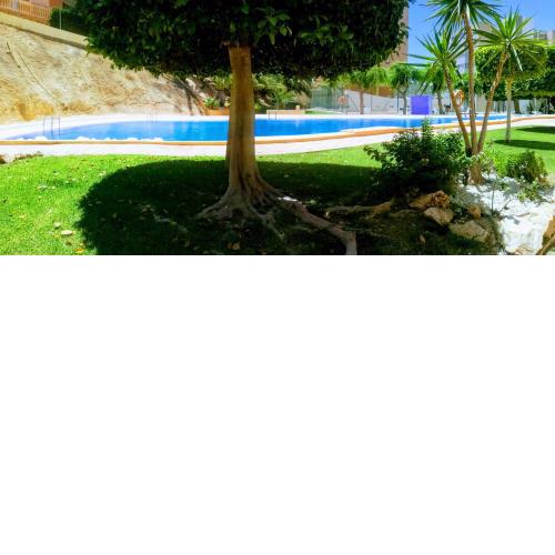 Apartamento Entreplayas 2