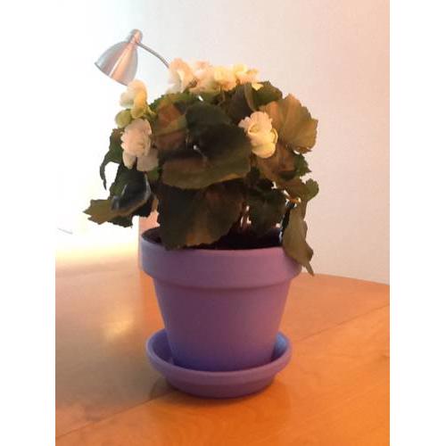 Apartamento Faro Blanco