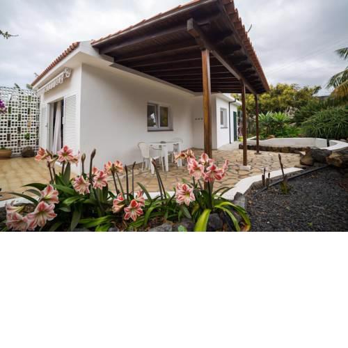 Apartamento Ficus