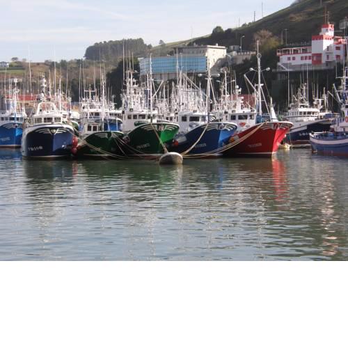 Apartamento frente al ayuntamiento de Bermeo