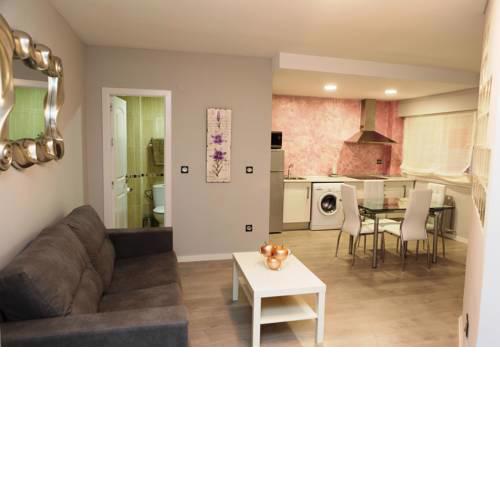 Apartamento Gran Capitán