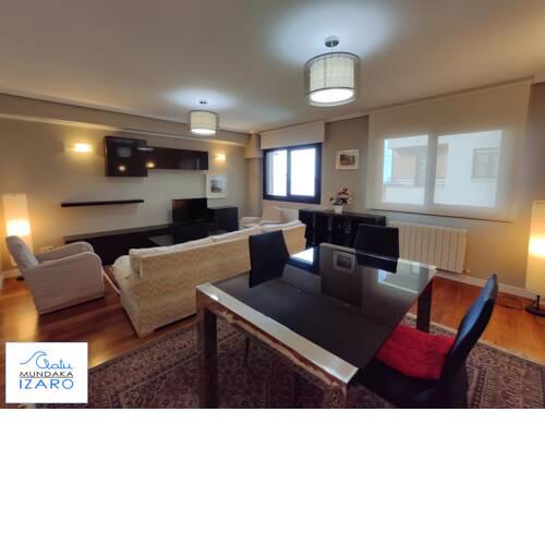 Apartamento Izaro