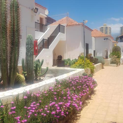 Apartamento las Americas Paraiso Royal