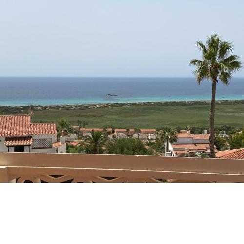Apartamento Las Camelias 13