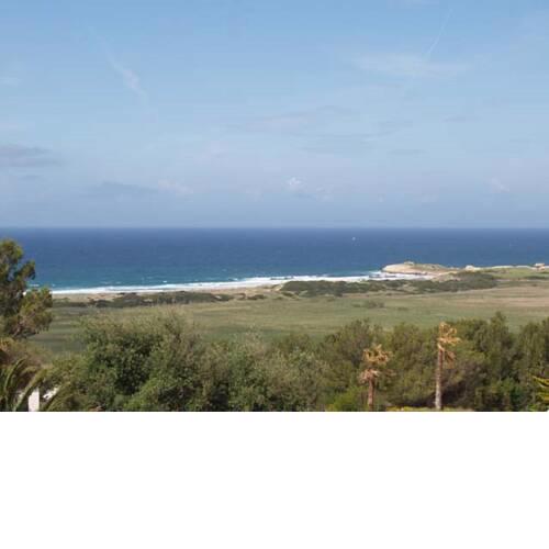 Apartamento las camelias 18