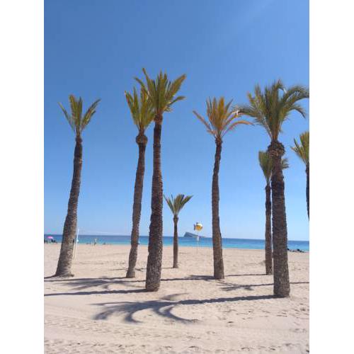 Apartamento Orly centro