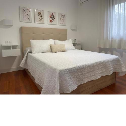 APARTAMENTO PASEO DE LA RIVERA
