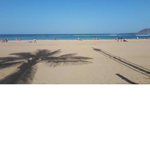 APARTAMENTO PLAYA
