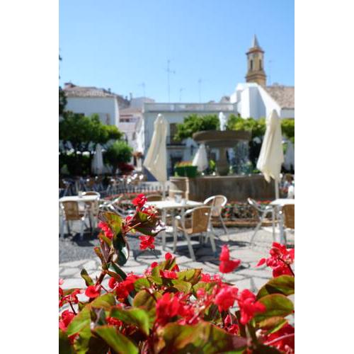 APARTAMENTO PLAZA DE LAS FLORES