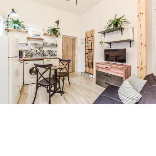 APARTAMENTO PLAZA DE LAVAPIES CON PATIO