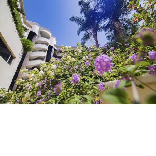 Apartamento Puerto Banus