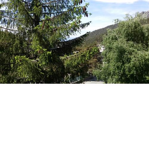 Apartamento Puerto de Navacerrada