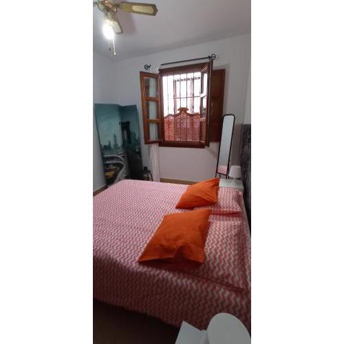 Apartamento Santa Cruz 3