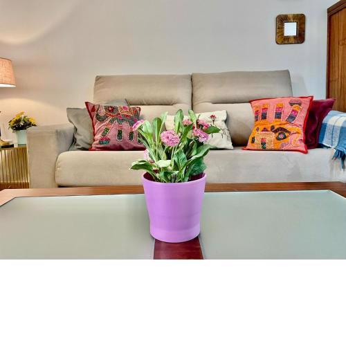 APARTAMENTO SEVILLA EN EL CENTRO CON PARKING